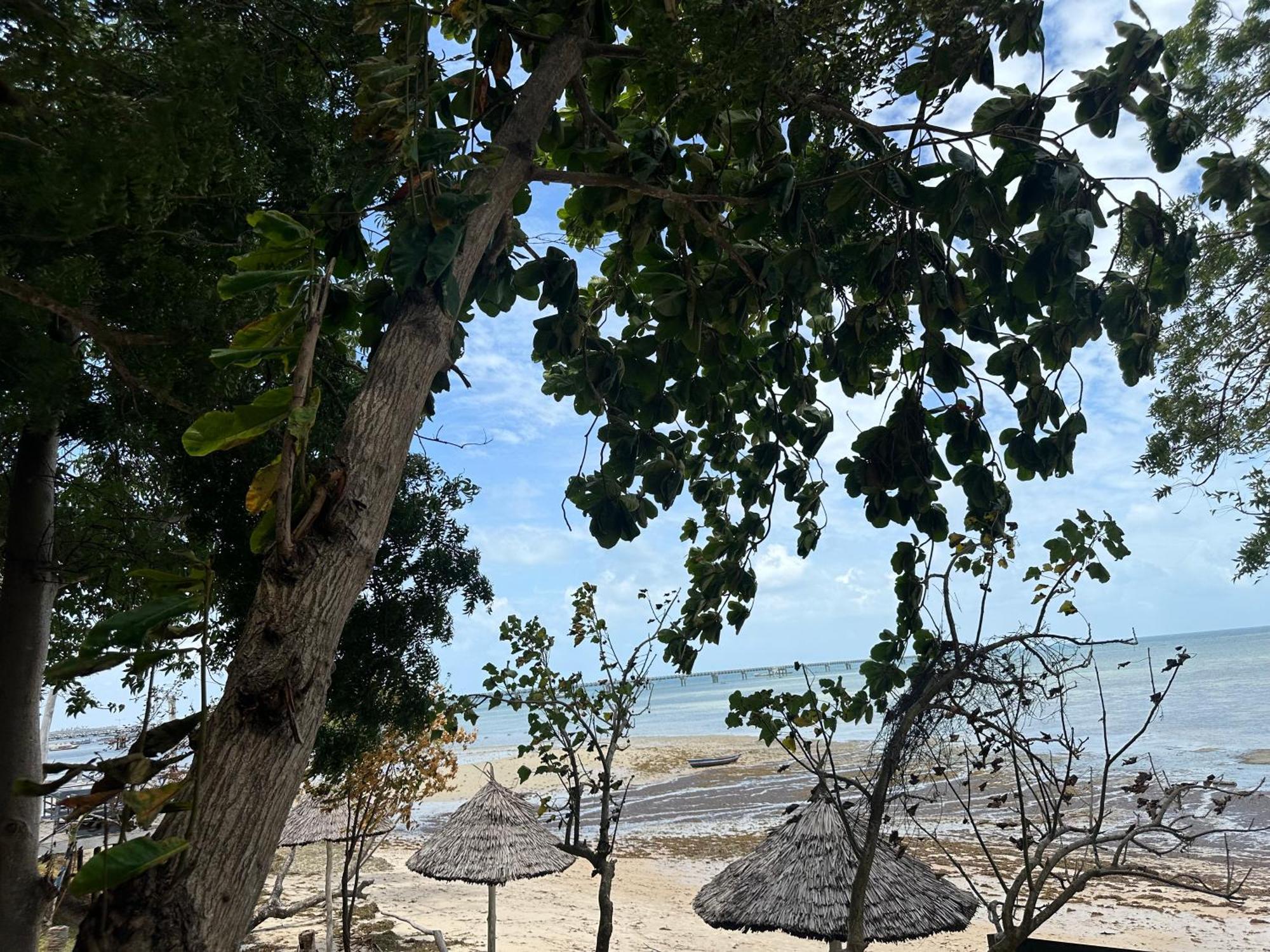 Maweni Beach Bungalows Kilindoni Dış mekan fotoğraf