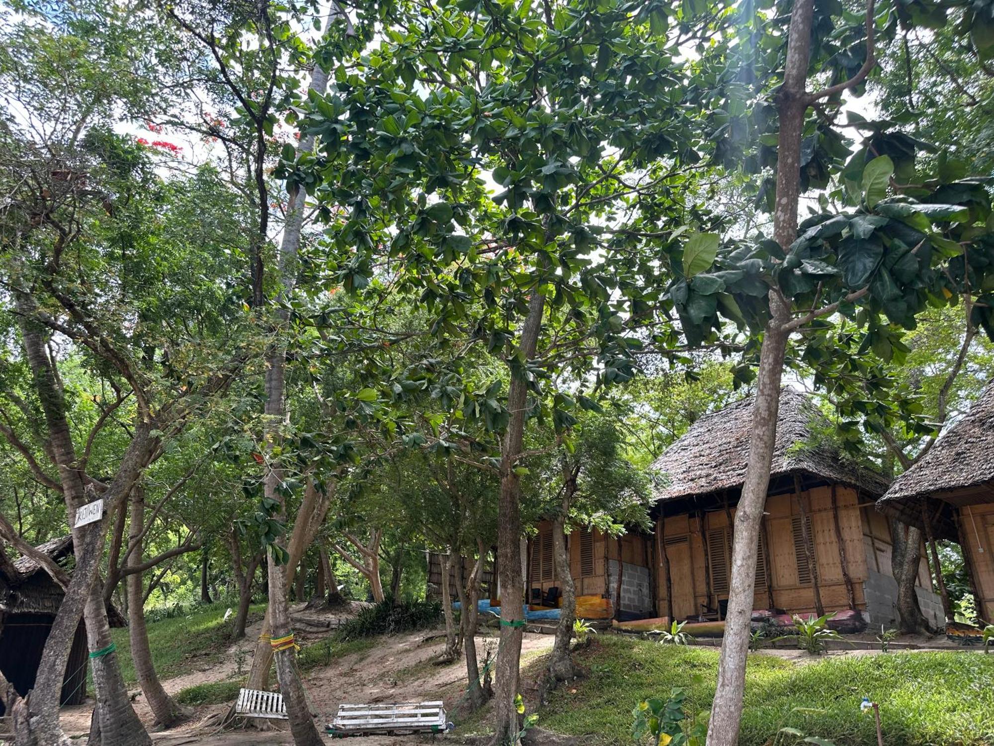 Maweni Beach Bungalows Kilindoni Dış mekan fotoğraf